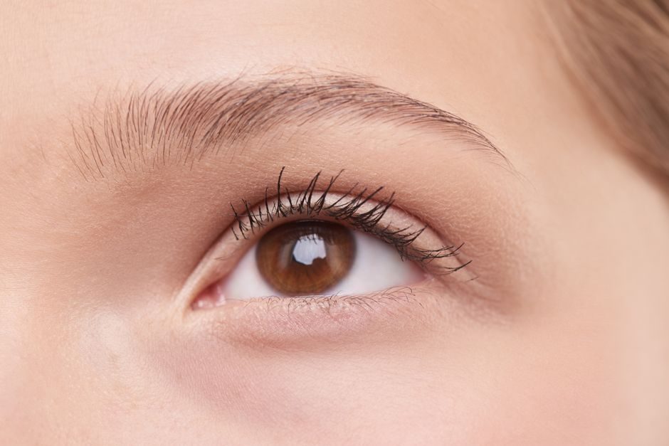 Close-up of a shaped eyebrow and eye